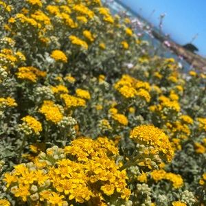 Meet your Posher, Destiny